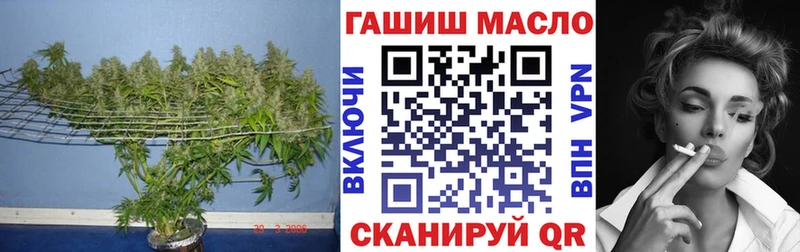Купить где  Шали  ТГК вейп с тгк 