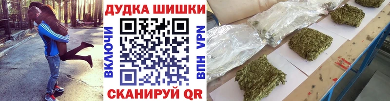 Канабис планчик  Купить где  Шали 